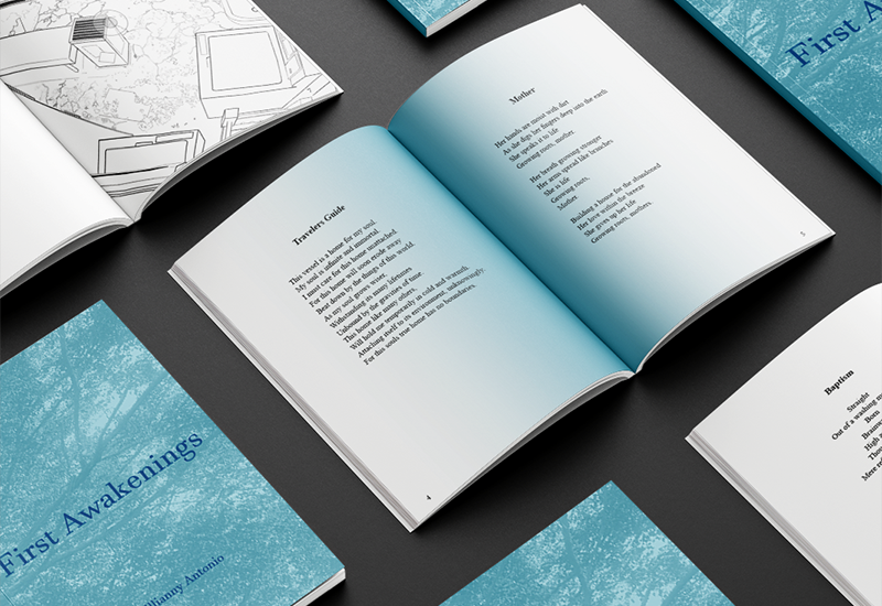 First Awakenings Book 